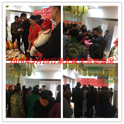 郴州創(chuàng)富大數(shù)據(jù)策劃廣告有限公司,郴州集品牌推廣,郴州產(chǎn)品營銷,項(xiàng)目策劃哪里的好